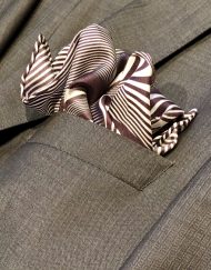 Abracazebra in pocket