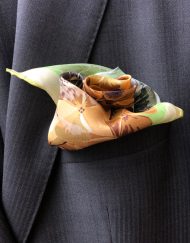 Hydrangea golden in pocket